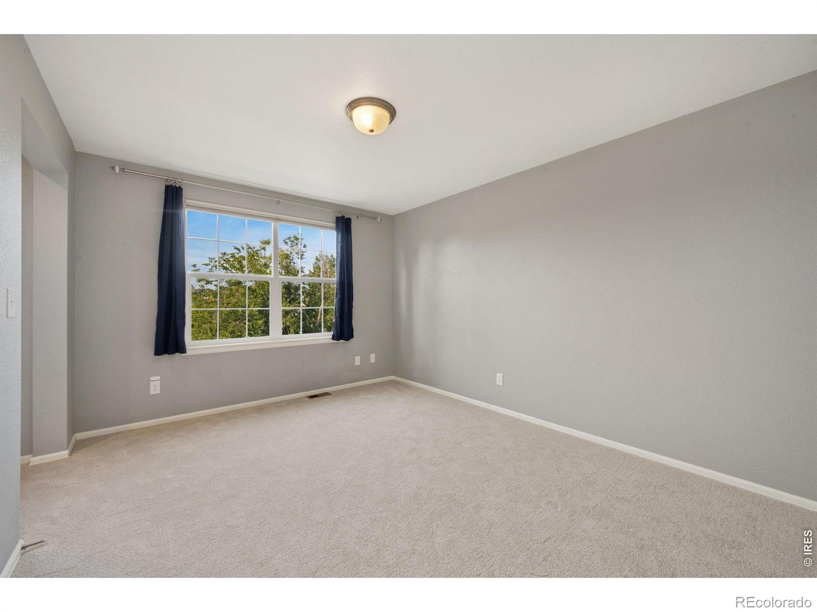 MLS Image #29 for 6363  spring valley road,timnath, Colorado