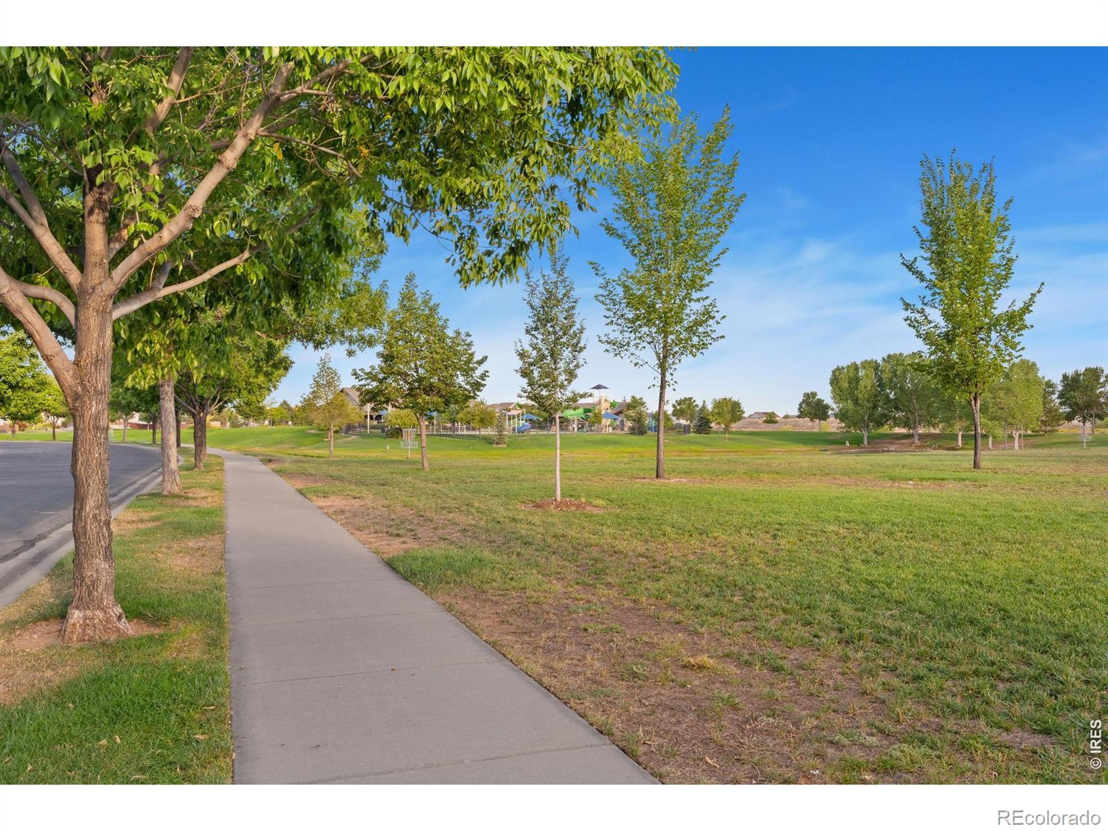 MLS Image #44 for 6363  spring valley road,timnath, Colorado