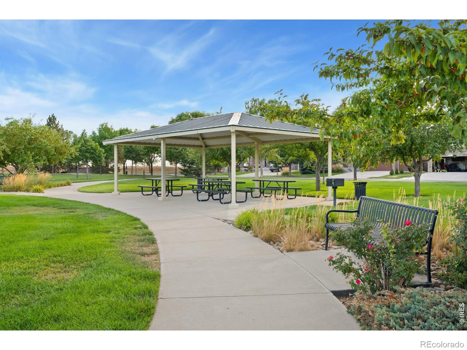 MLS Image #46 for 6363  spring valley road,timnath, Colorado