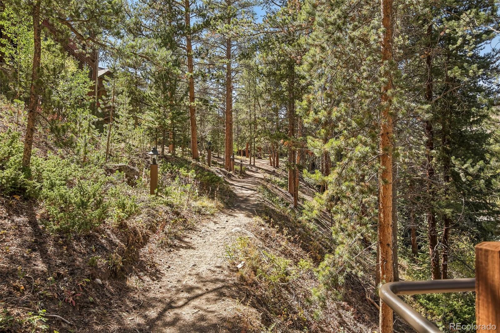 MLS Image #26 for 0139  lake ridge circle,keystone, Colorado