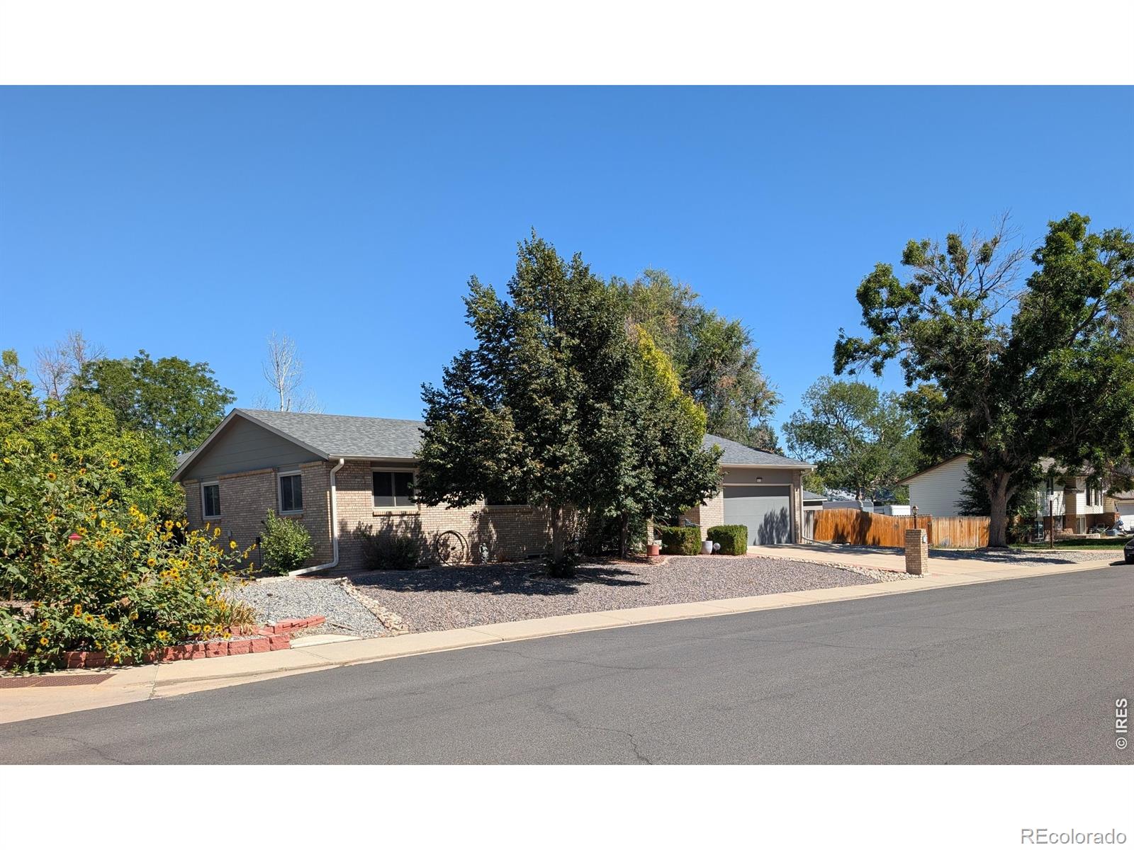 MLS Image #2 for 1610  24th avenue,longmont, Colorado