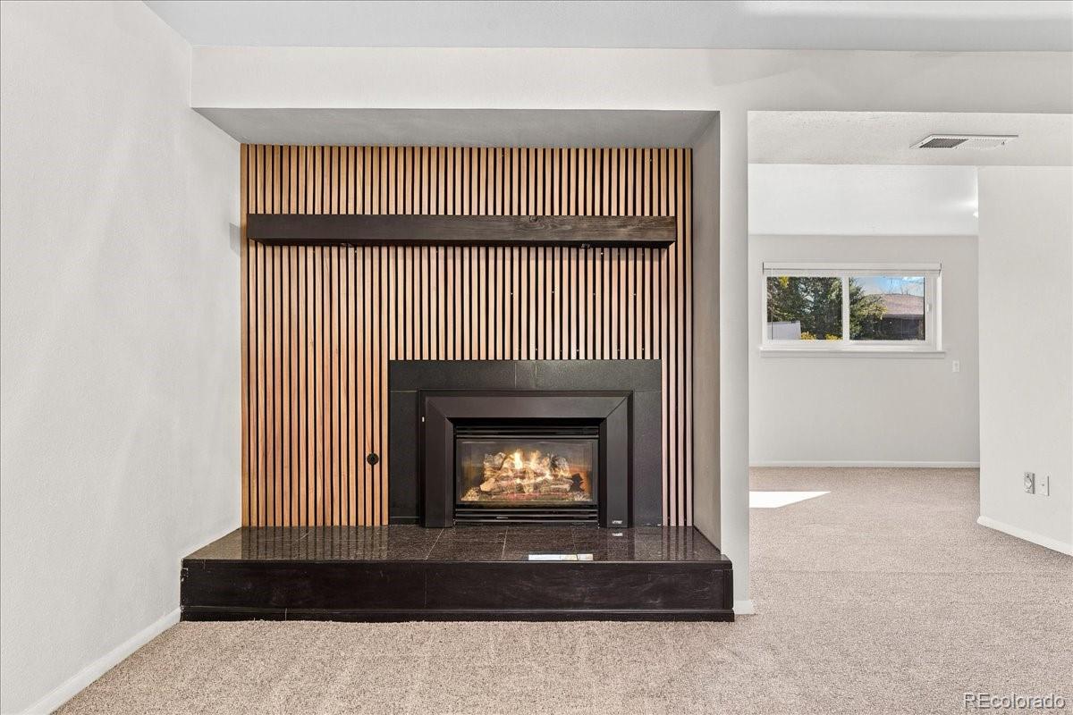 MLS Image #15 for 8061  clarkson court,denver, Colorado