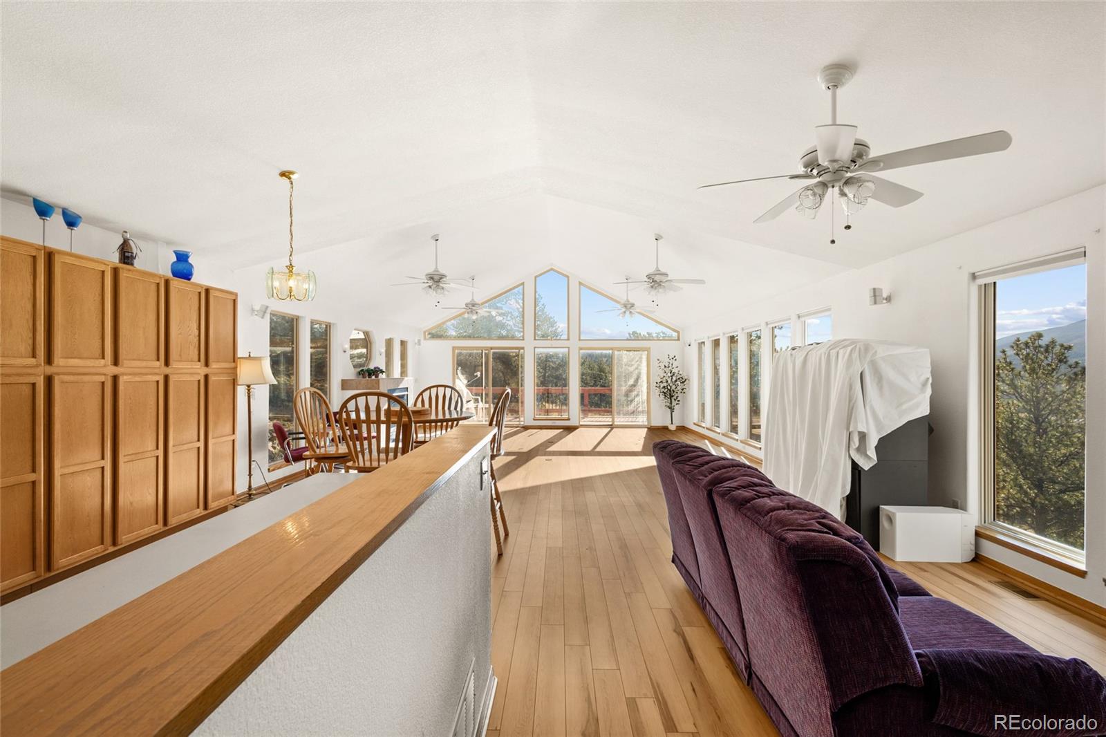 MLS Image #16 for 349 w cline drive,shawnee, Colorado