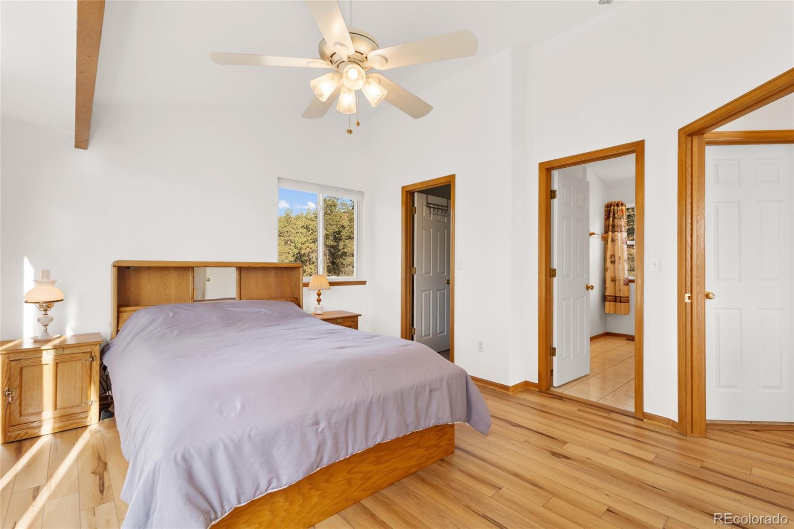MLS Image #17 for 349 w cline drive,shawnee, Colorado