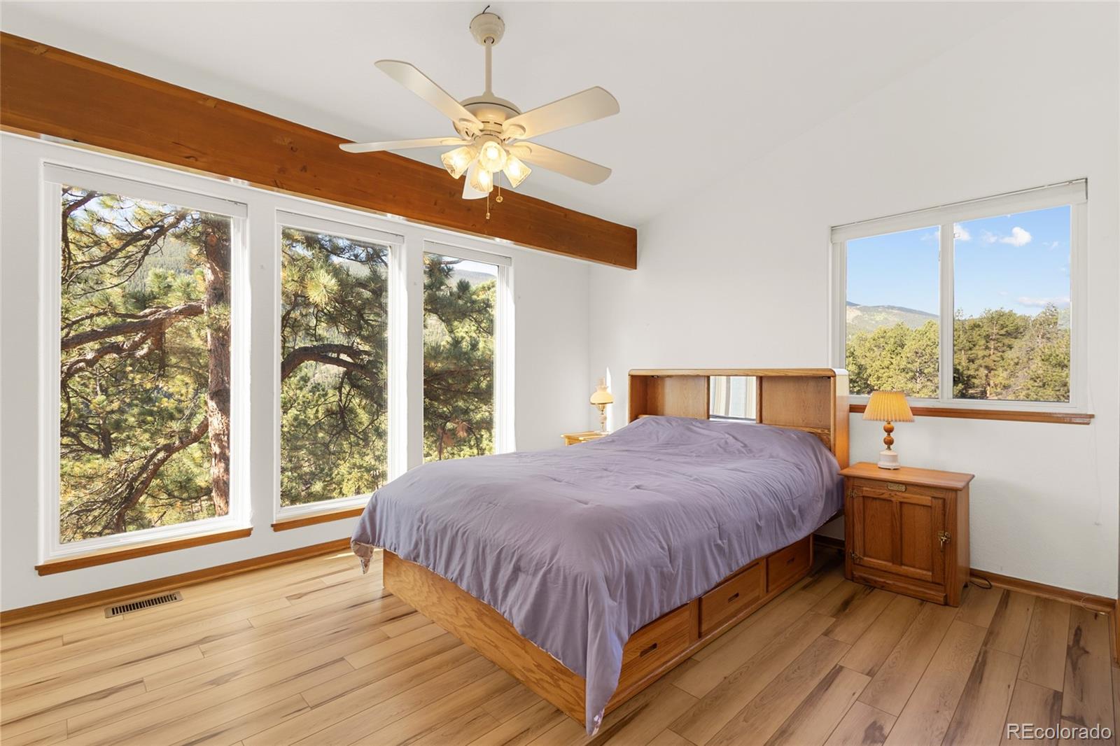 MLS Image #18 for 349 w cline drive,shawnee, Colorado