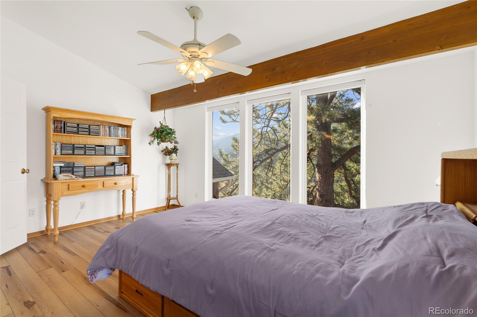 MLS Image #19 for 349 w cline drive,shawnee, Colorado