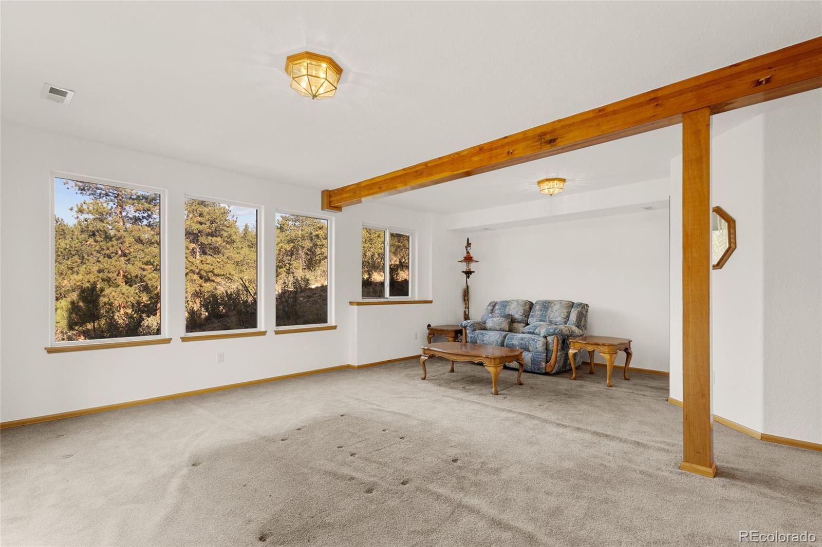 MLS Image #24 for 349 w cline drive,shawnee, Colorado