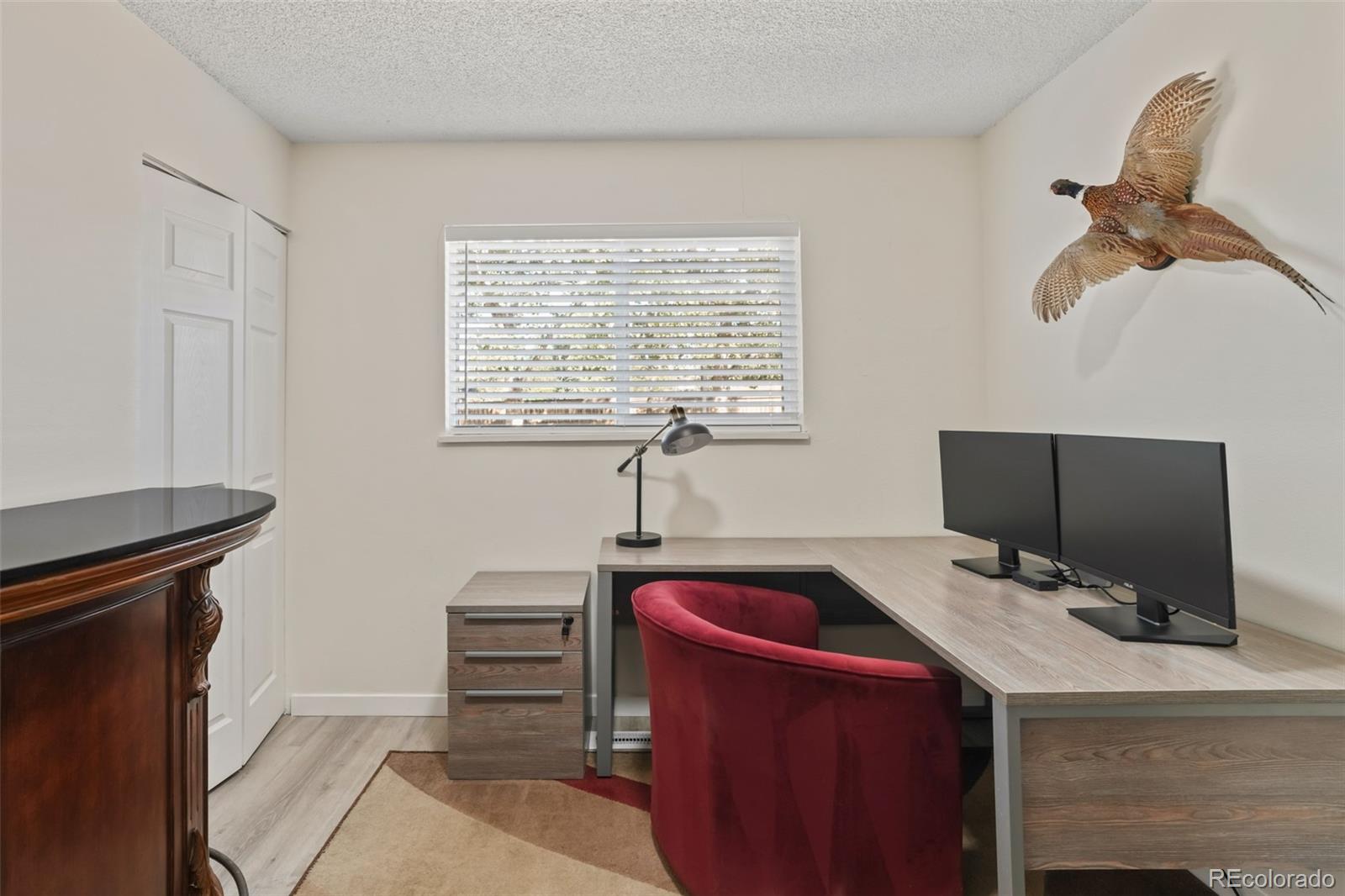 MLS Image #13 for 8839  prickly pear circle,parker, Colorado