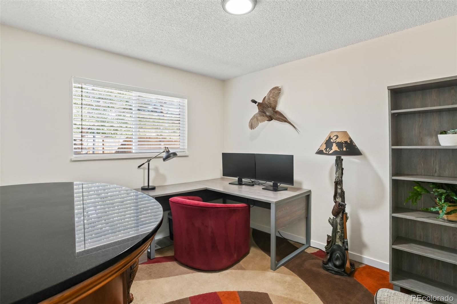 MLS Image #14 for 8839  prickly pear circle,parker, Colorado