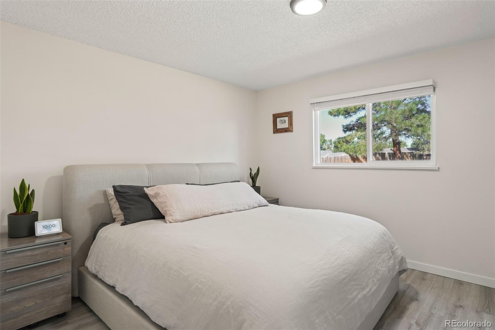 MLS Image #9 for 8839  prickly pear circle,parker, Colorado