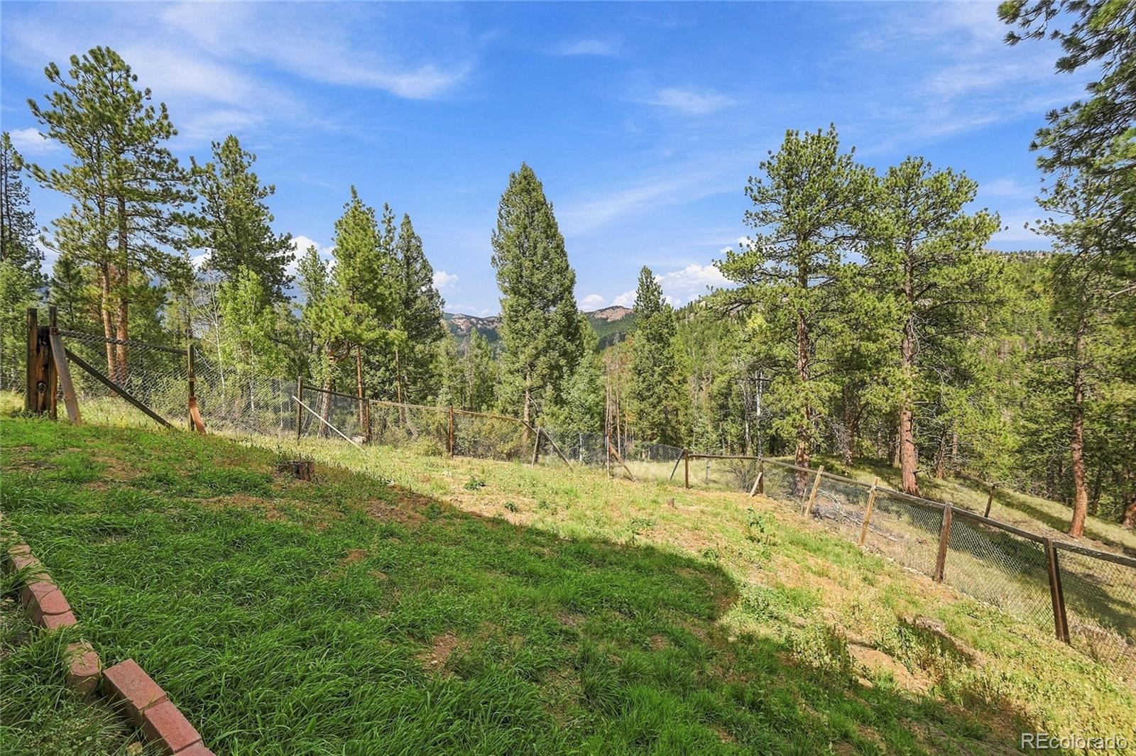 MLS Image #12 for 33165  diana road,pine, Colorado