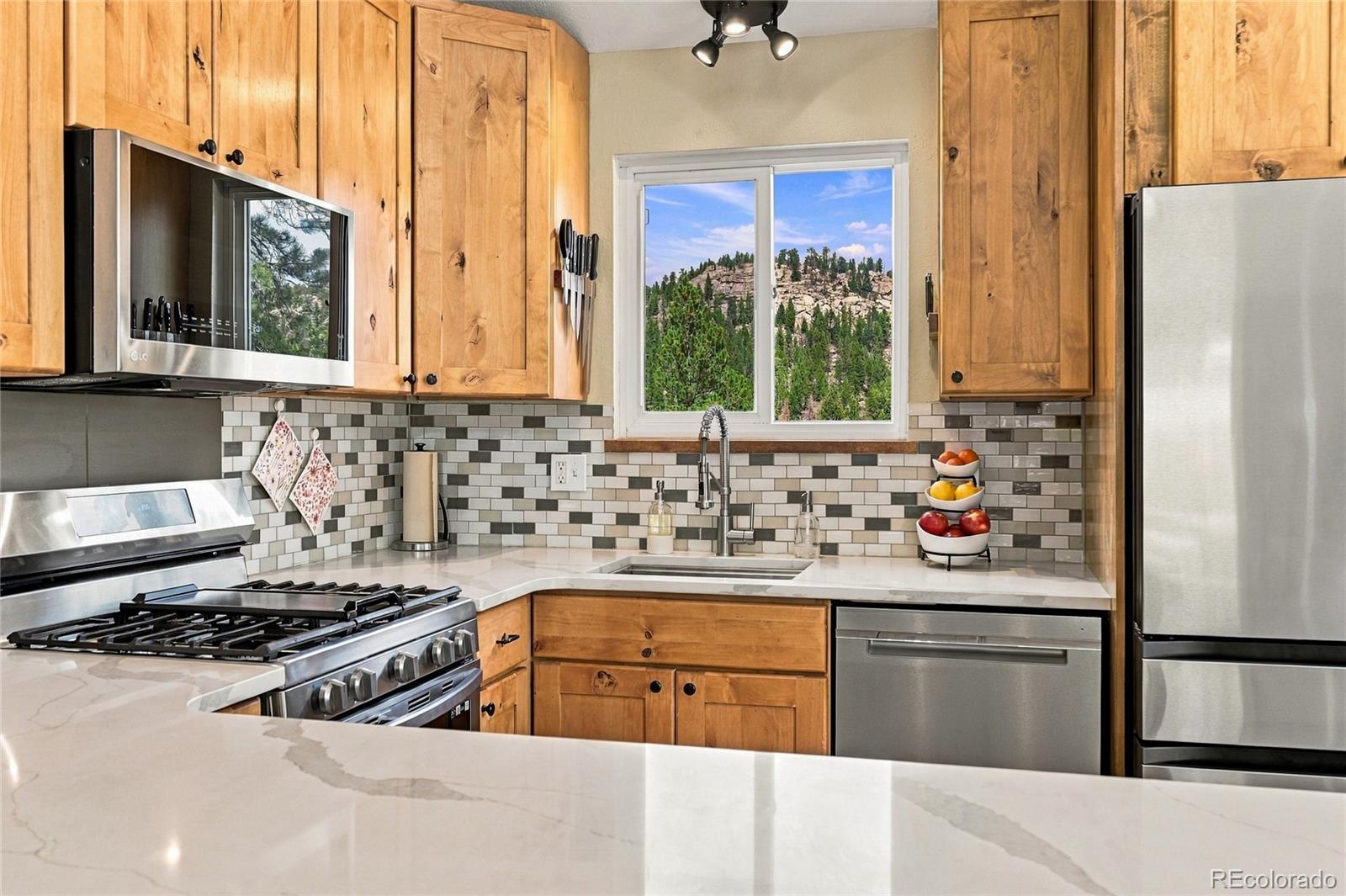 MLS Image #3 for 33165  diana road,pine, Colorado