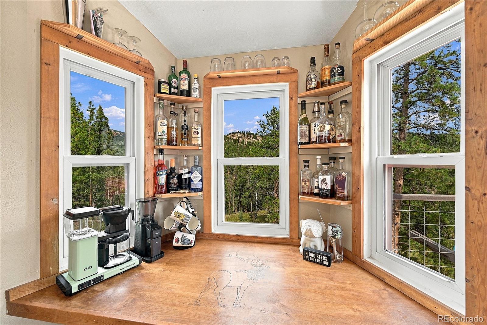 MLS Image #4 for 33165  diana road,pine, Colorado