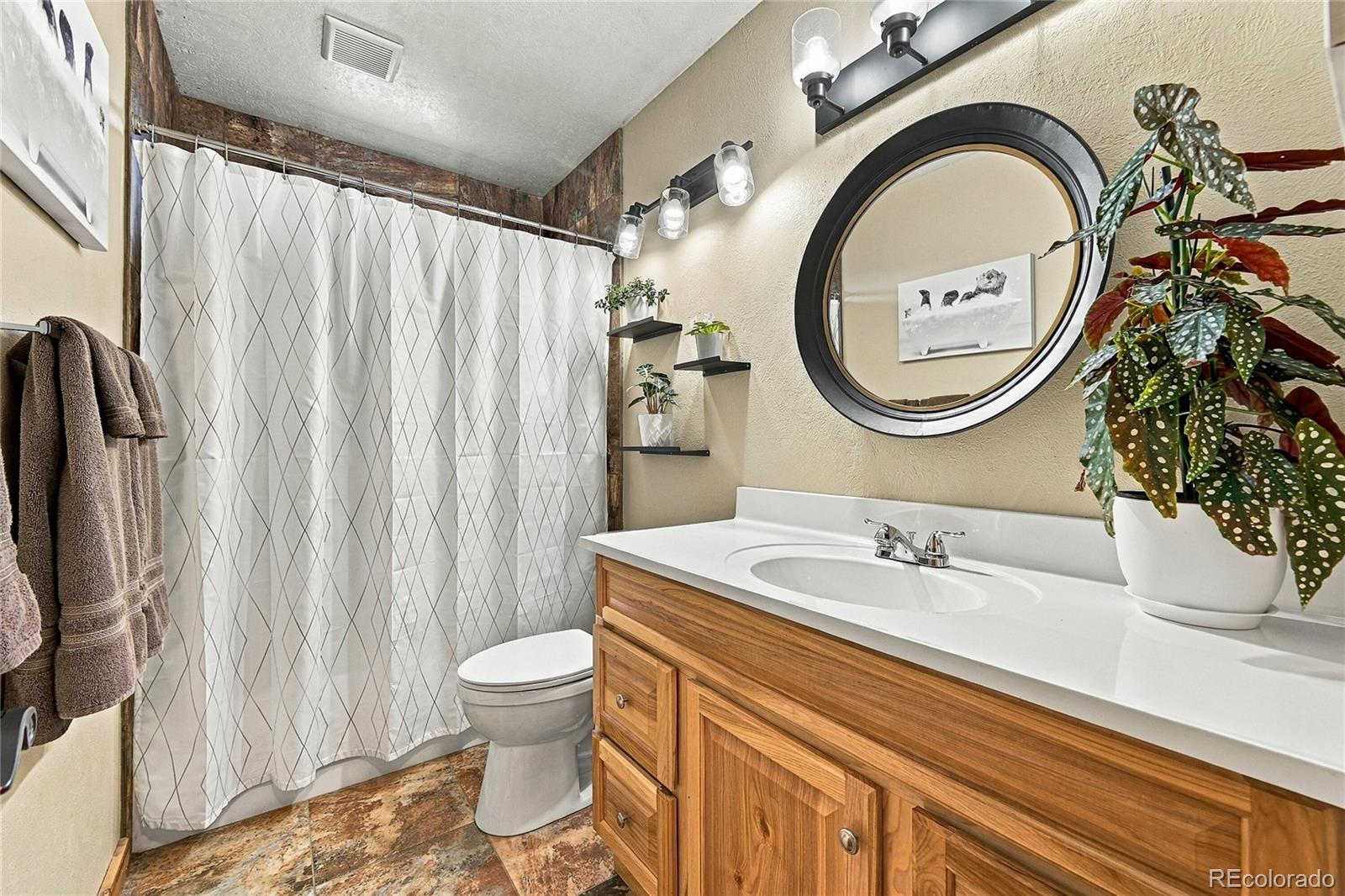 MLS Image #7 for 33165  diana road,pine, Colorado