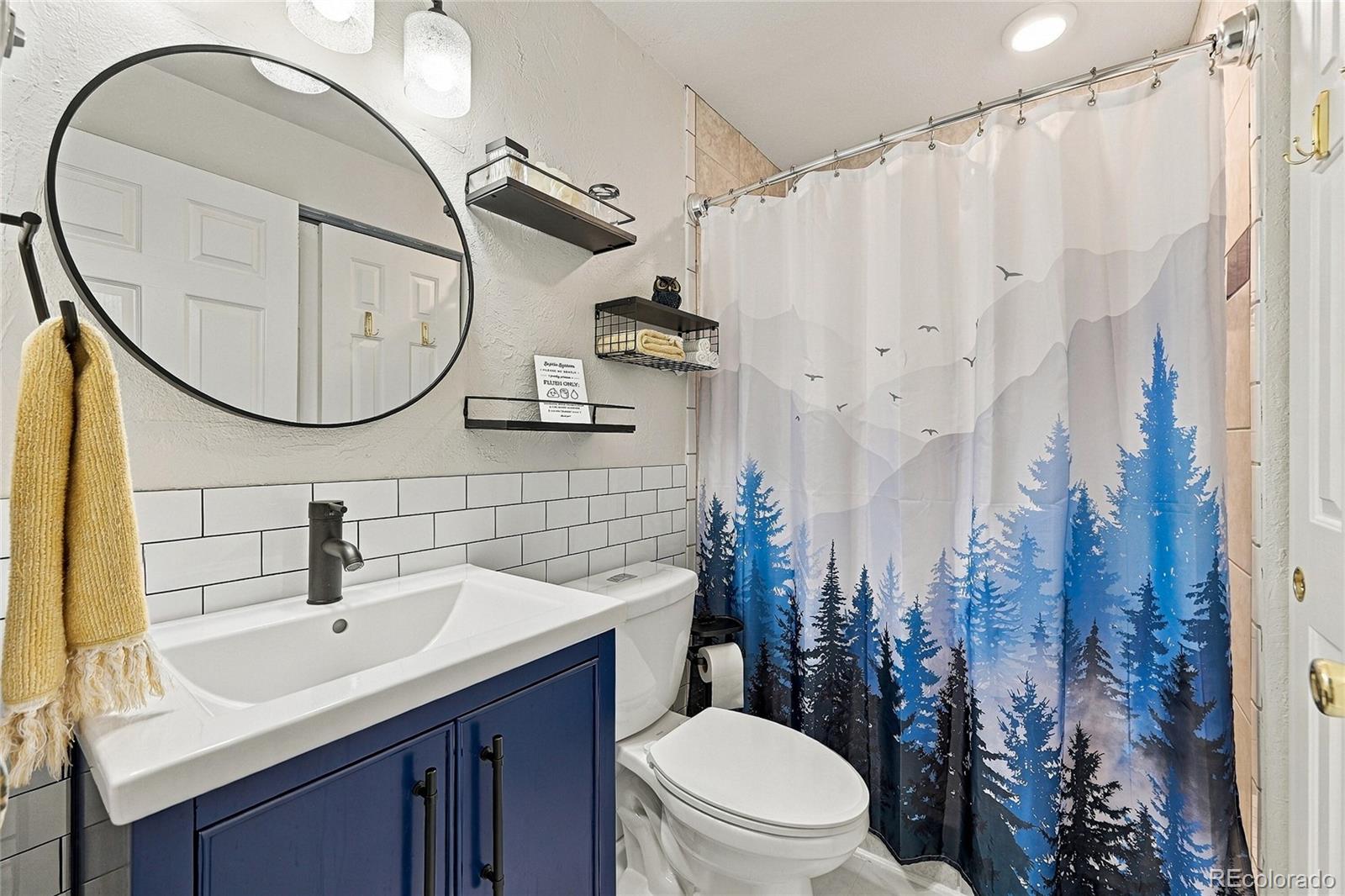 MLS Image #9 for 33165  diana road,pine, Colorado