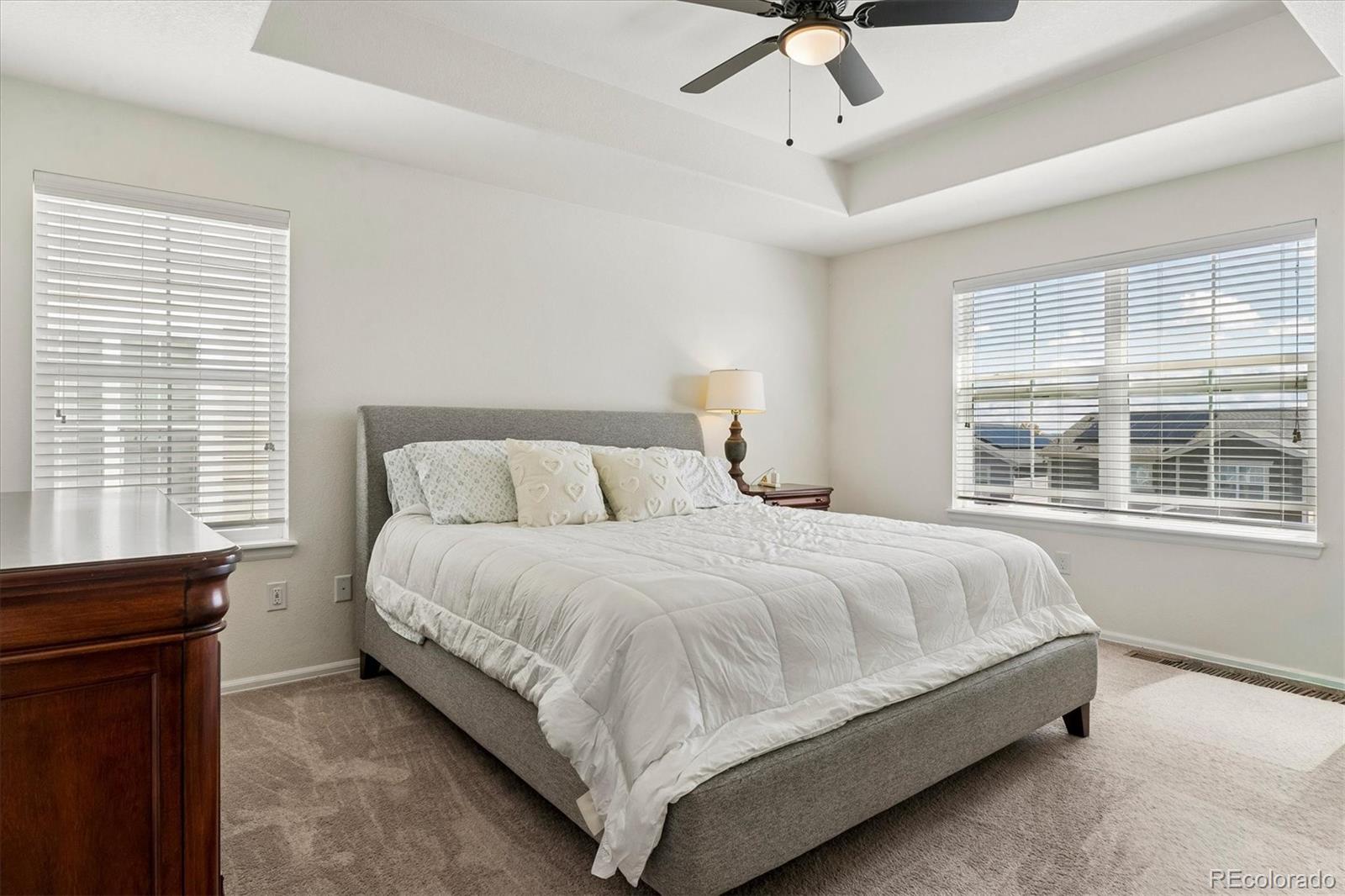 MLS Image #11 for 15062  chicago street,parker, Colorado