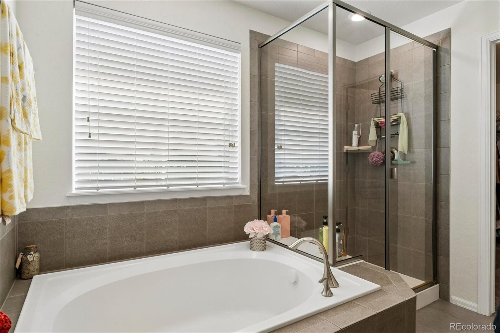 MLS Image #14 for 15062  chicago street,parker, Colorado