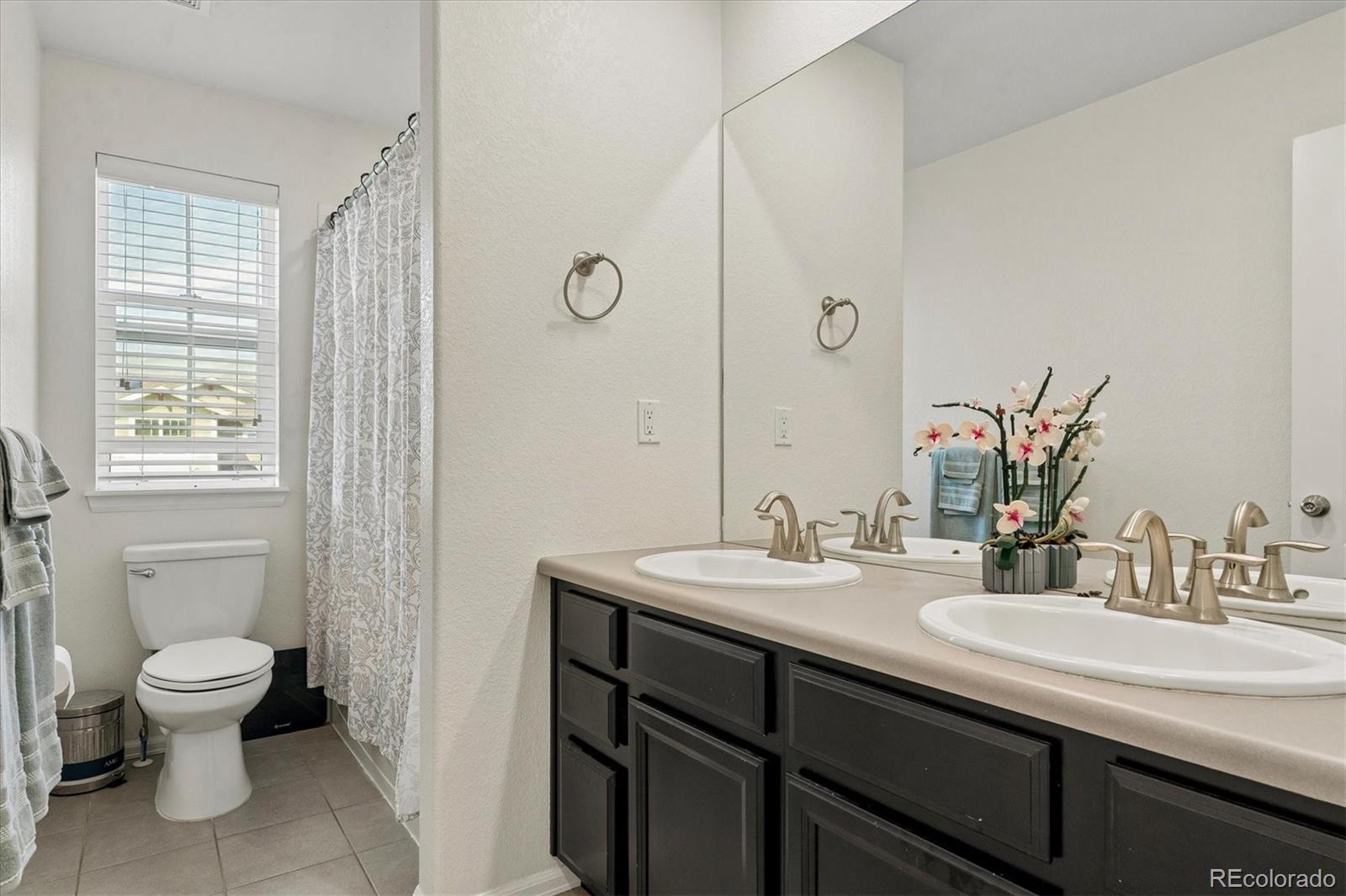 MLS Image #16 for 15062  chicago street,parker, Colorado
