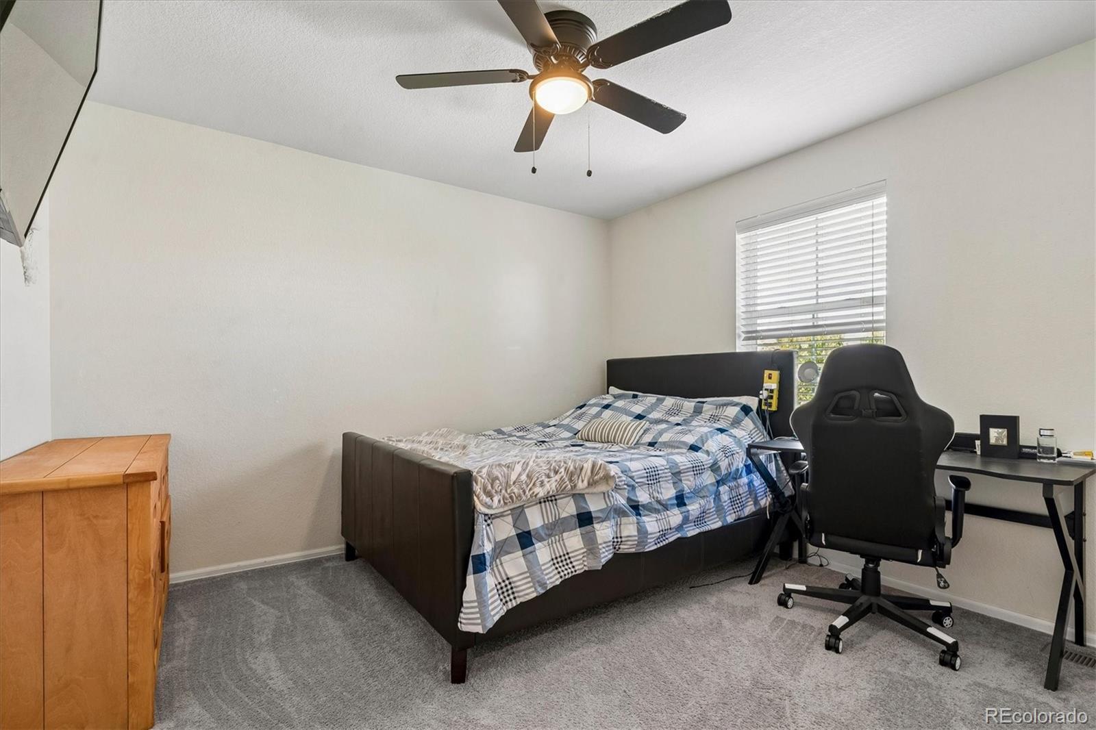 MLS Image #18 for 15062  chicago street,parker, Colorado