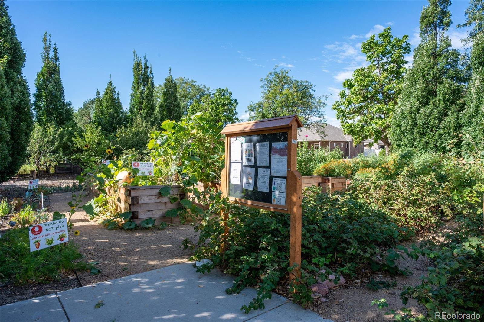 MLS Image #45 for 204  hubbell street,berthoud, Colorado