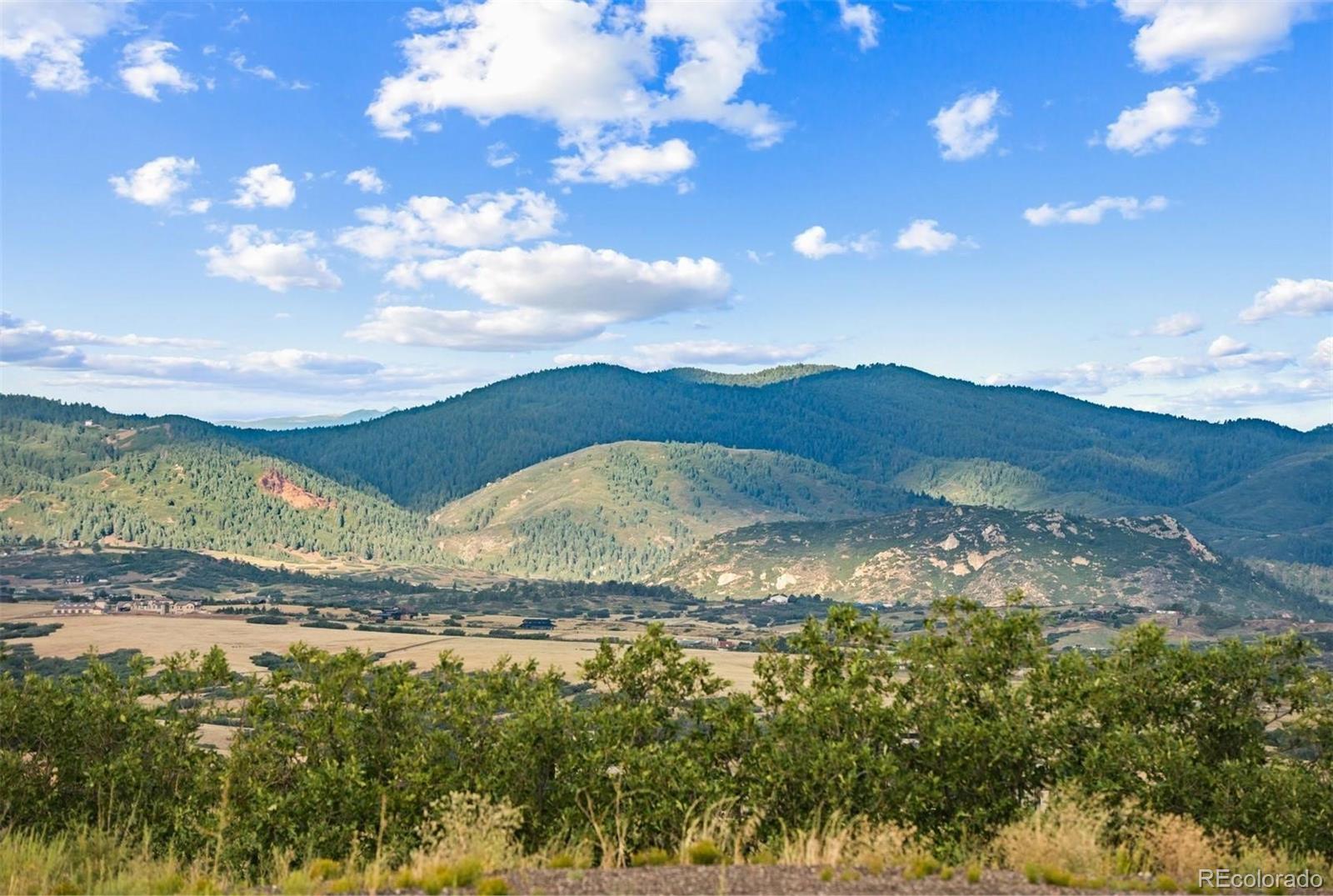 MLS Image #7 for 3881  turret lane,sedalia, Colorado