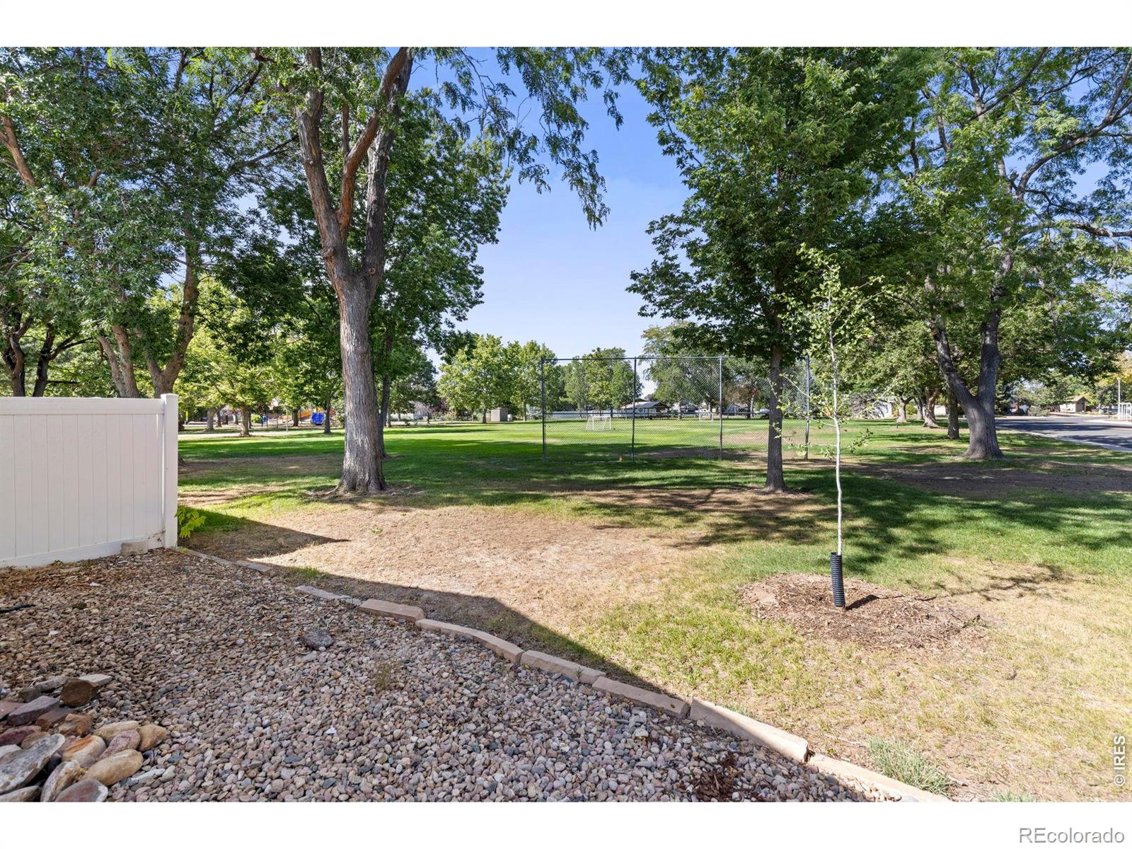 MLS Image #2 for 550  10th street,windsor, Colorado