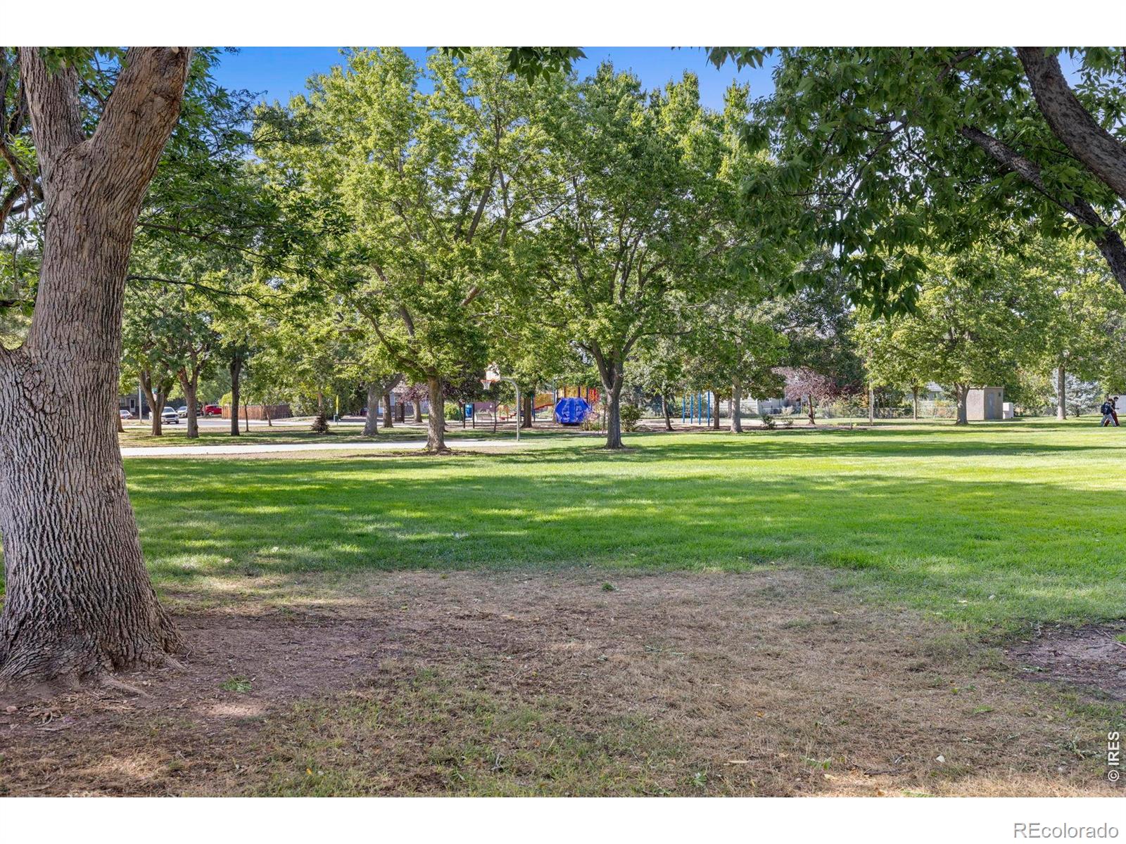 MLS Image #3 for 550  10th street,windsor, Colorado