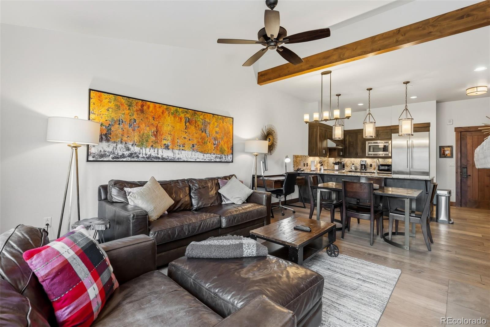 MLS Image #5 for 610  columbine road,breckenridge, Colorado