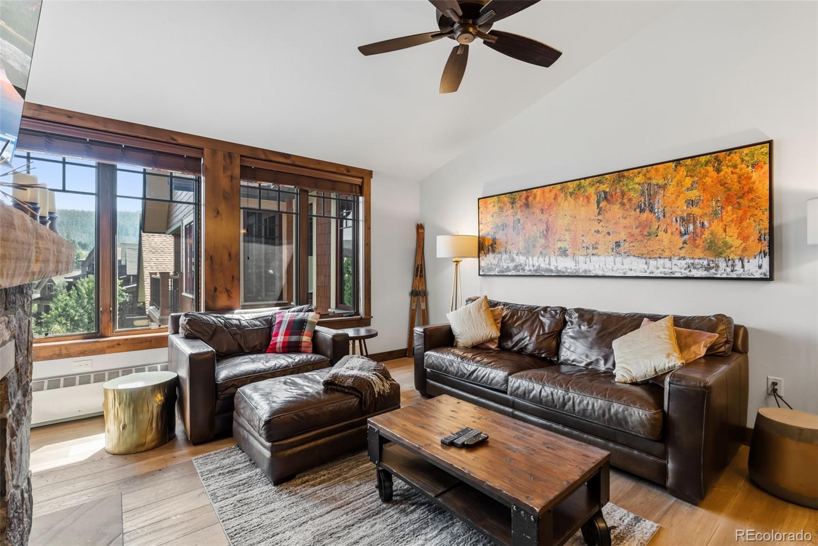 MLS Image #8 for 610  columbine road,breckenridge, Colorado