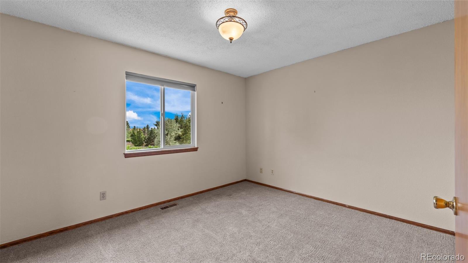 MLS Image #17 for 8045  sangor drive,colorado springs, Colorado