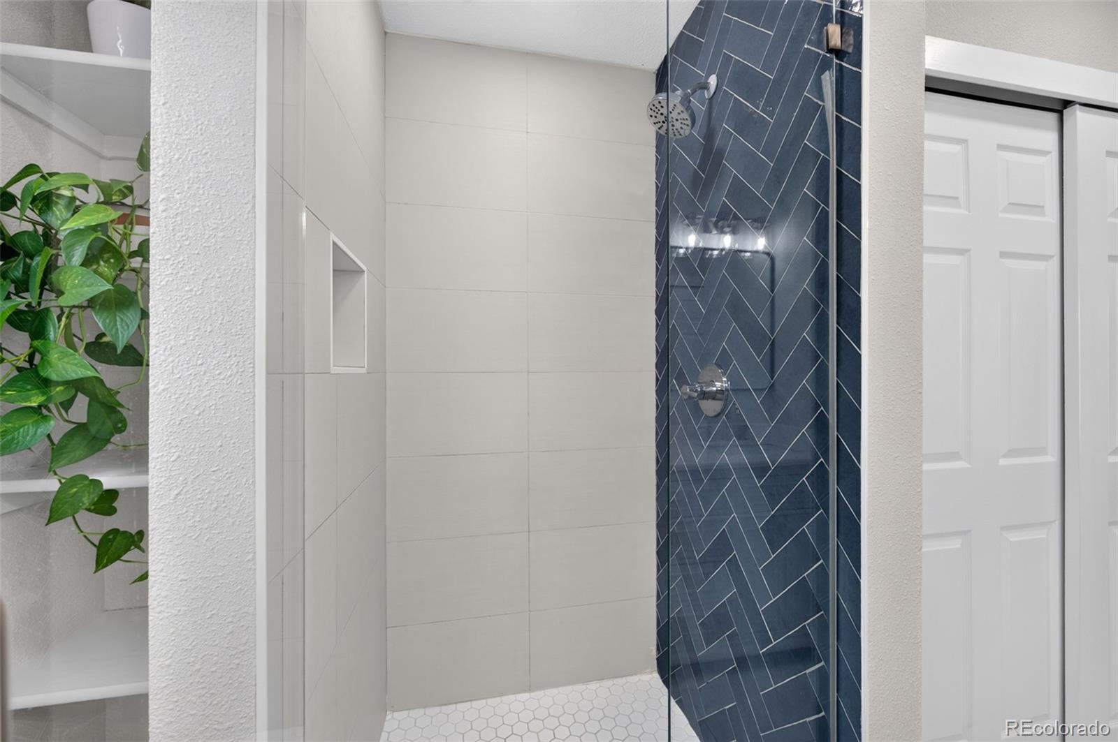 MLS Image #20 for 10721  birch court,thornton, Colorado