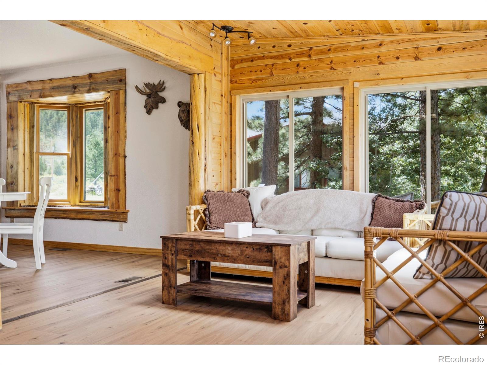 MLS Image #13 for 428  rustic road,bellvue, Colorado