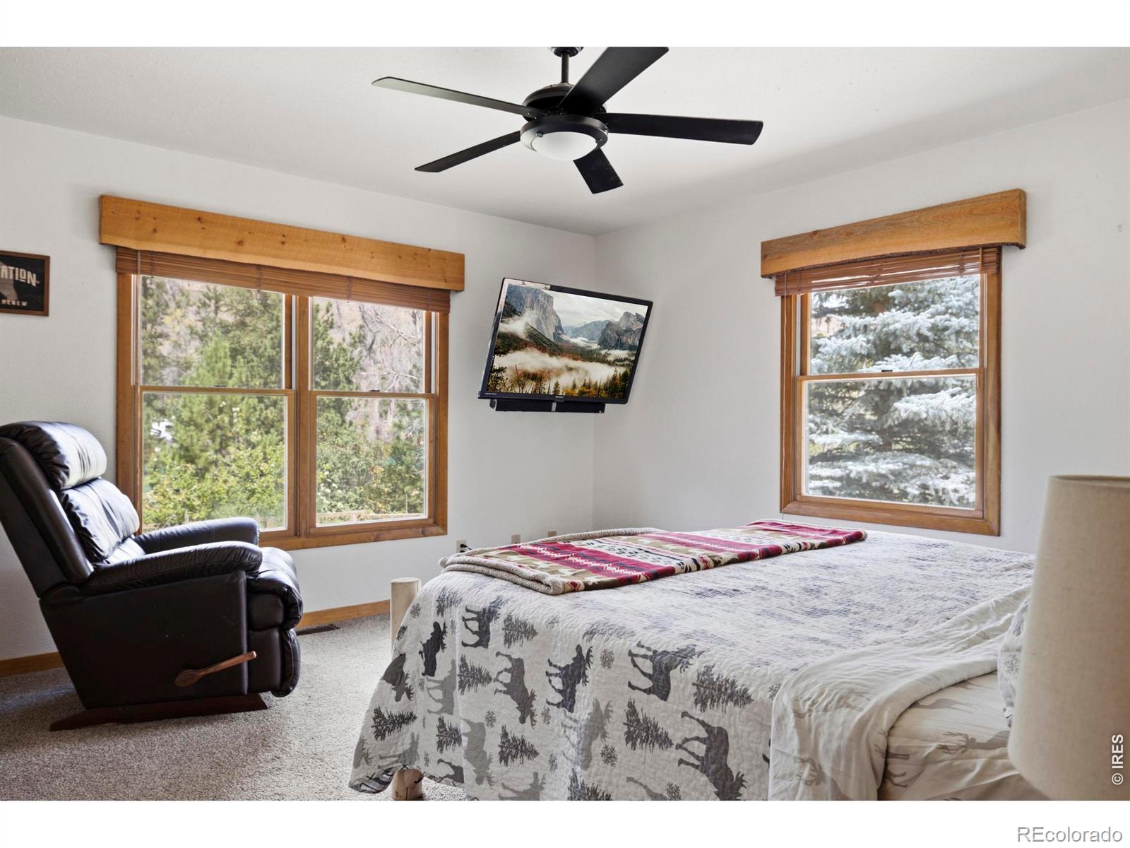 MLS Image #19 for 428  rustic road,bellvue, Colorado