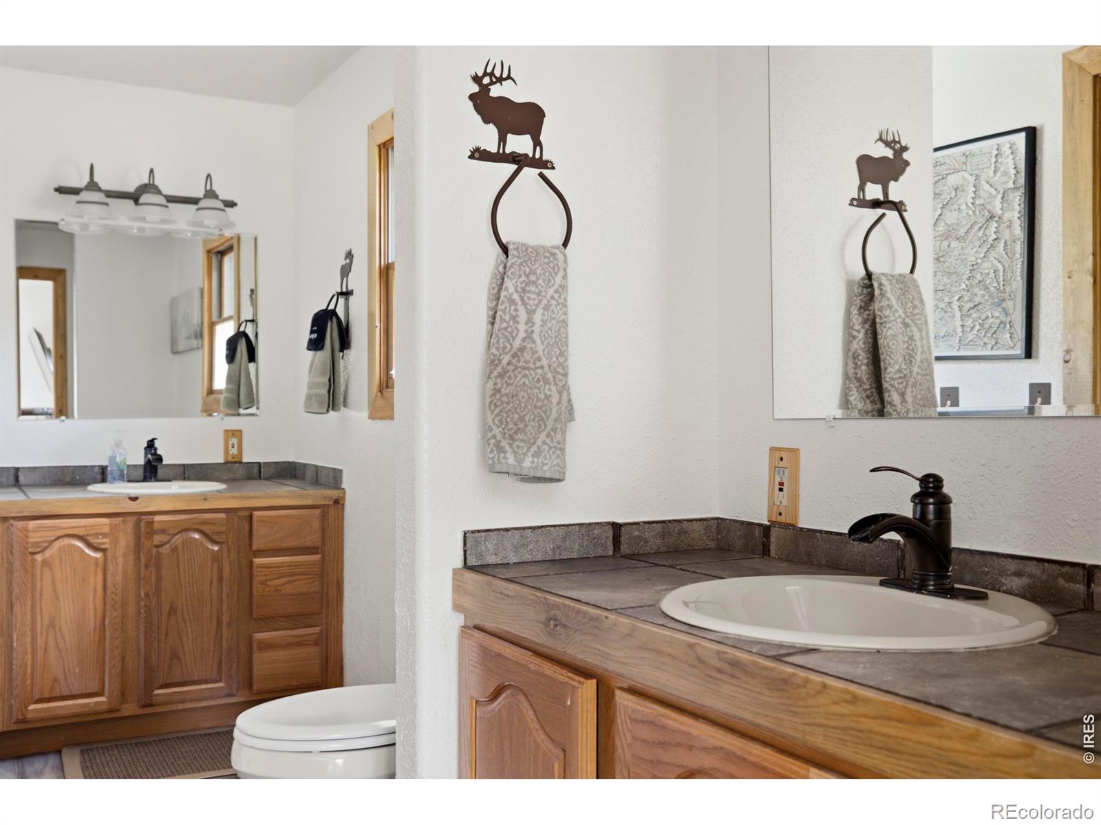 MLS Image #20 for 428  rustic road,bellvue, Colorado