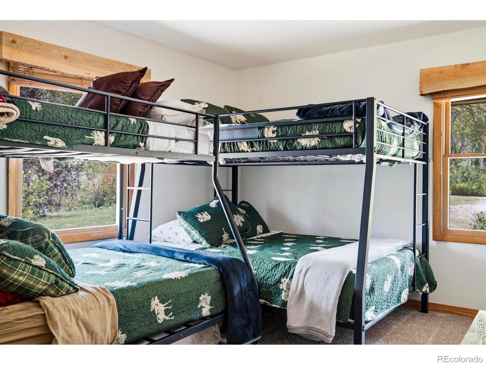 MLS Image #22 for 428  rustic road,bellvue, Colorado
