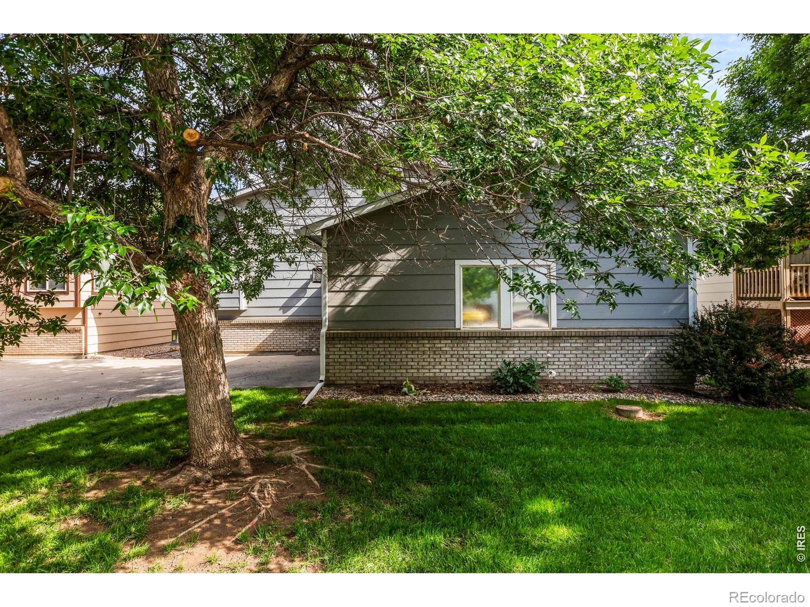 MLS Image #2 for 972  winona circle,loveland, Colorado
