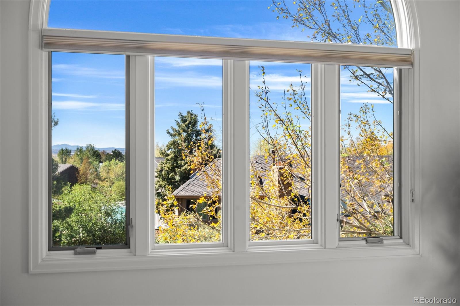 MLS Image #21 for 5694 s laredo street,centennial, Colorado