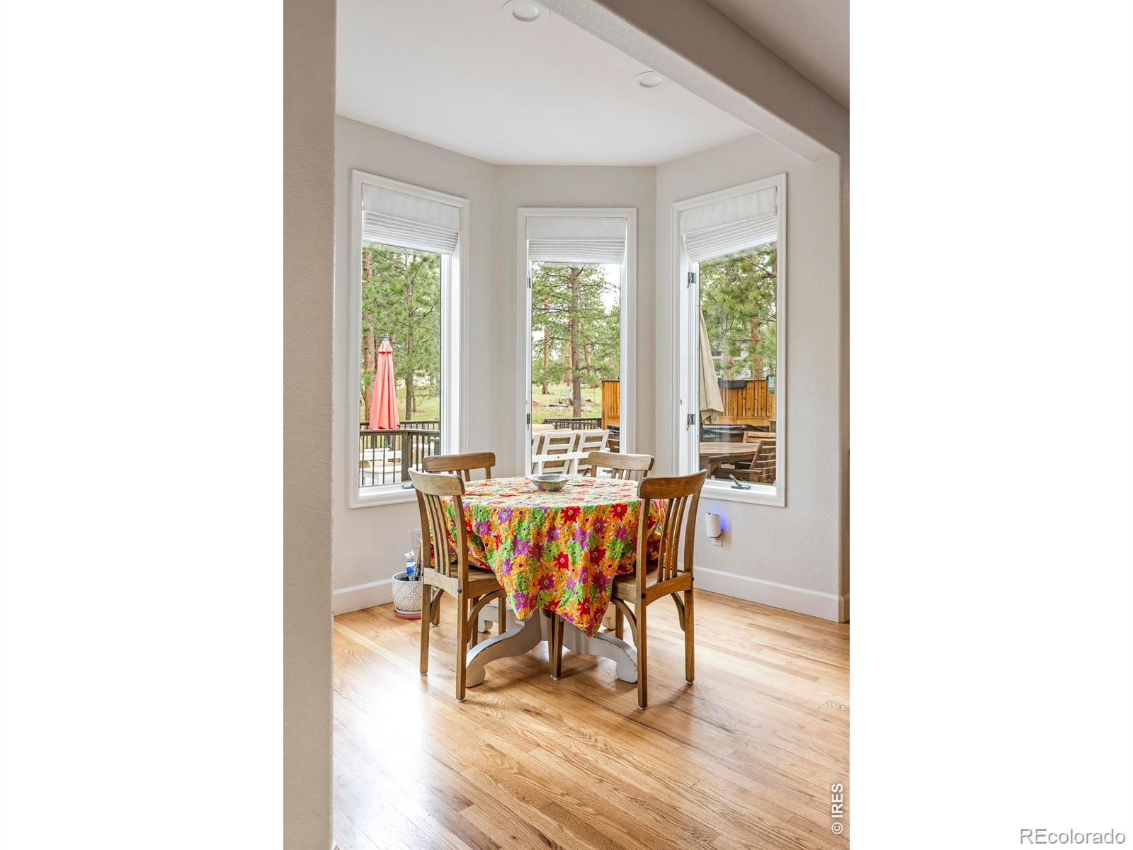 MLS Image #10 for 29360  northstar lane,evergreen, Colorado