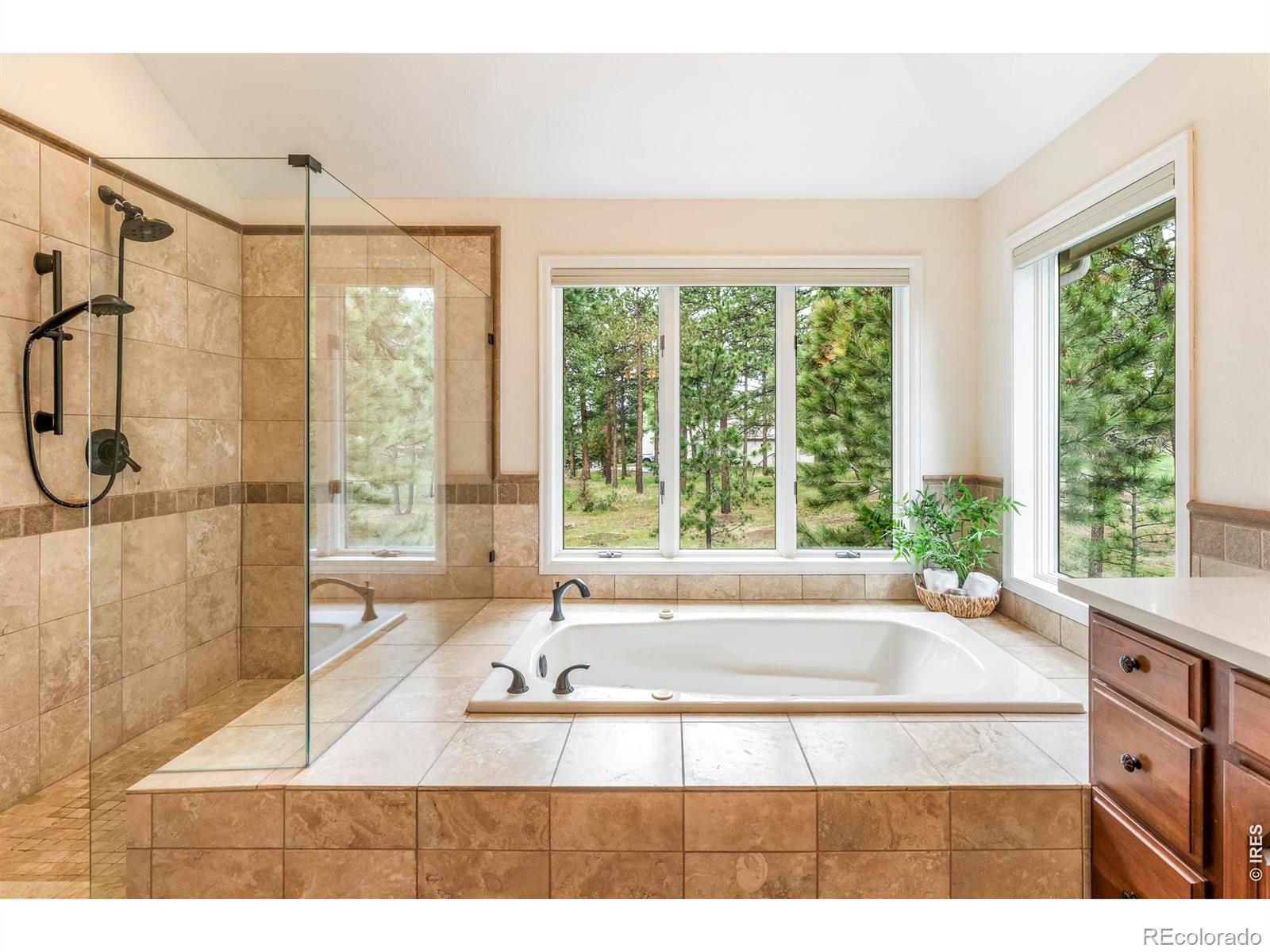 MLS Image #23 for 29360  northstar lane,evergreen, Colorado