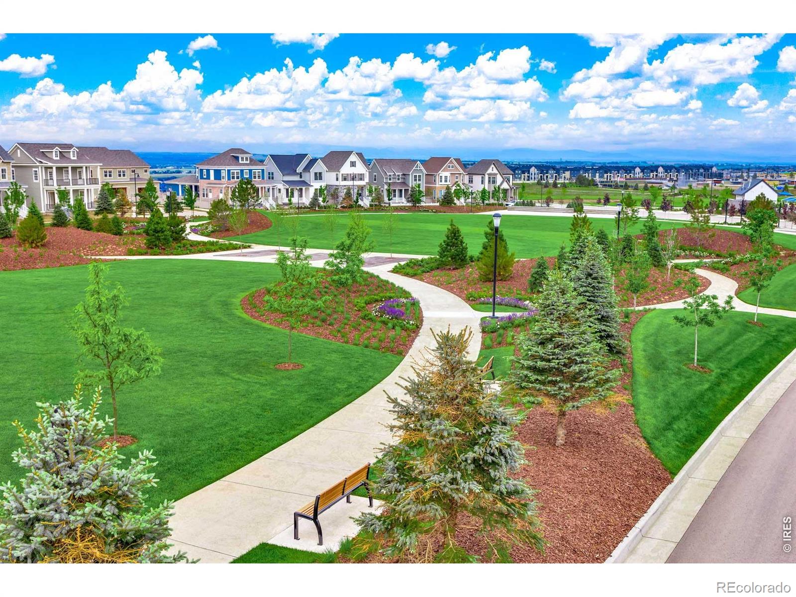 MLS Image #8 for 1555  ash drive,erie, Colorado