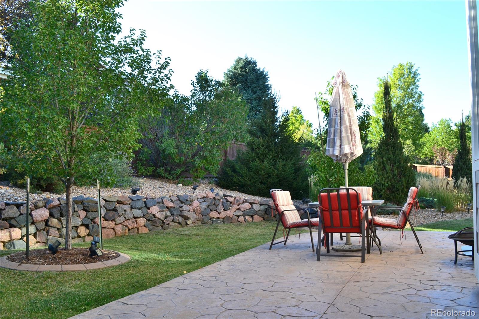 MLS Image #4 for 6965  sapphire pointe boulevard,castle rock, Colorado
