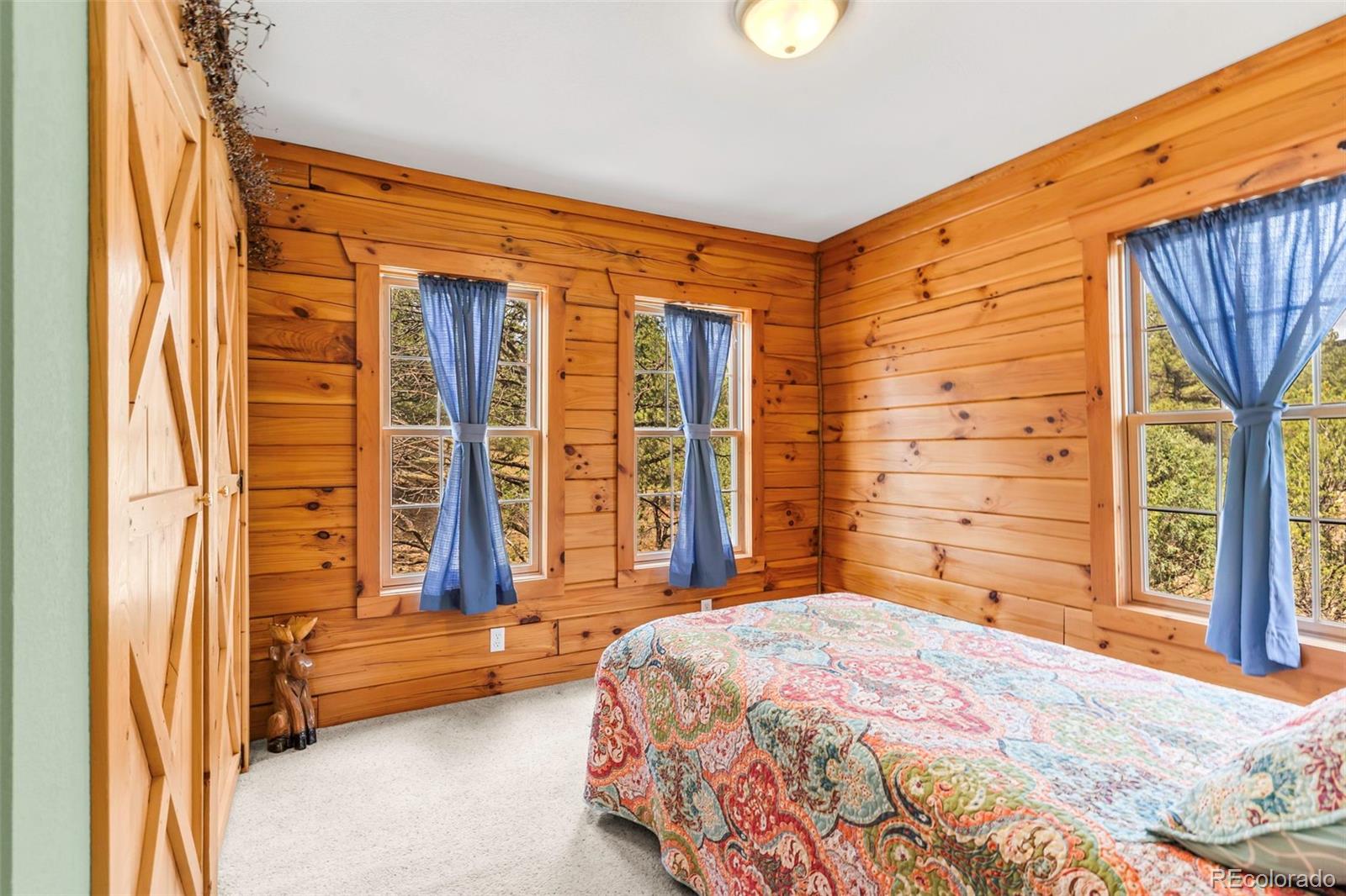 MLS Image #16 for 91  ponderosa lane,cotopaxi, Colorado