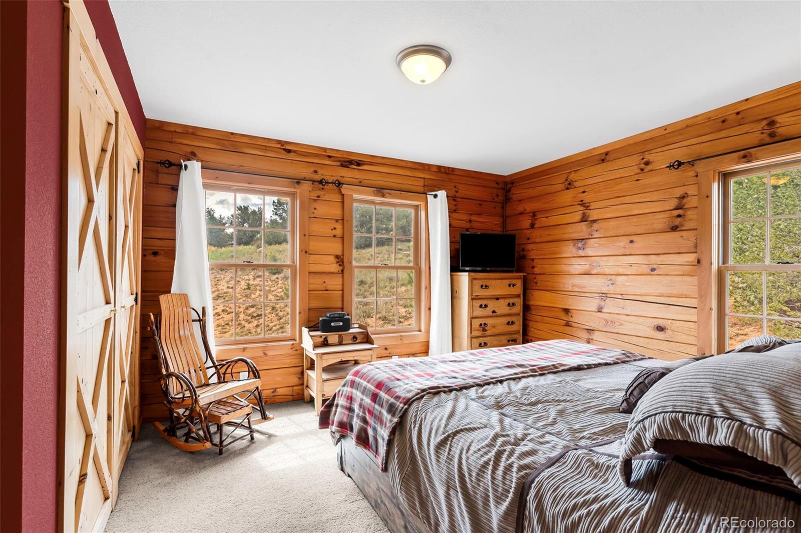 MLS Image #19 for 91  ponderosa lane,cotopaxi, Colorado