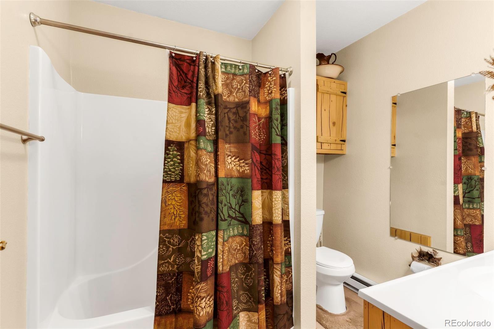 MLS Image #21 for 91  ponderosa lane,cotopaxi, Colorado