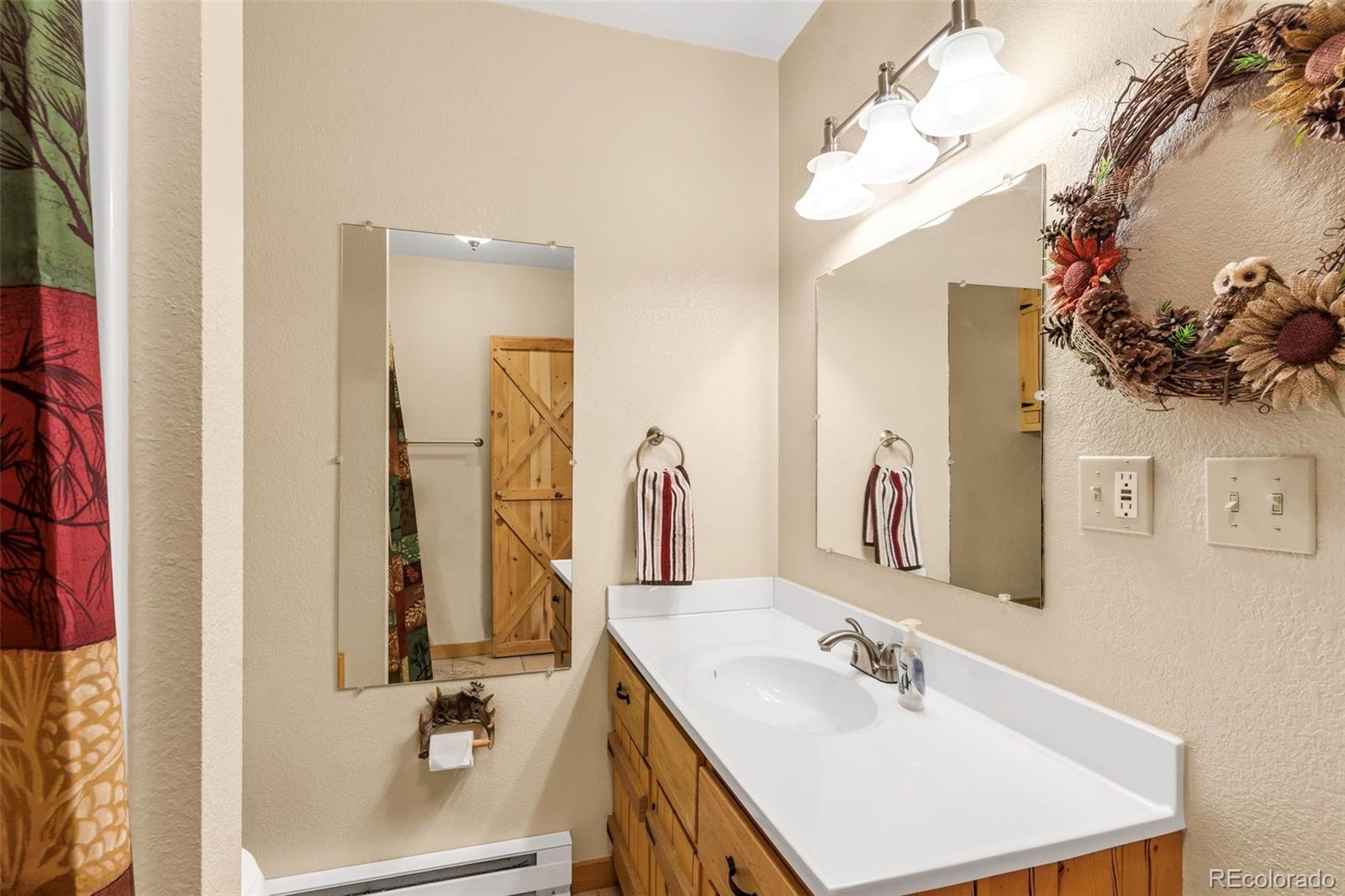MLS Image #22 for 91  ponderosa lane,cotopaxi, Colorado
