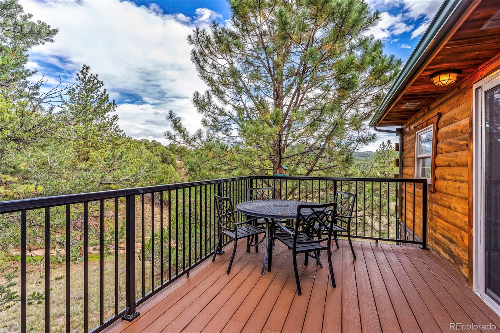 MLS Image #24 for 91  ponderosa lane,cotopaxi, Colorado