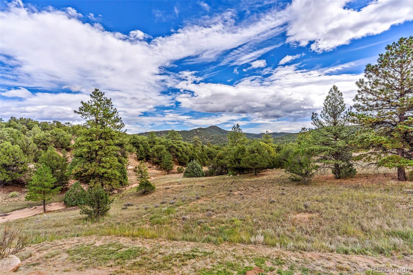 MLS Image #26 for 91  ponderosa lane,cotopaxi, Colorado