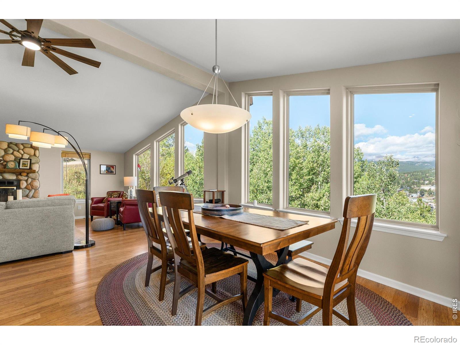 MLS Image #20 for 107  ponderosa drive,nederland, Colorado
