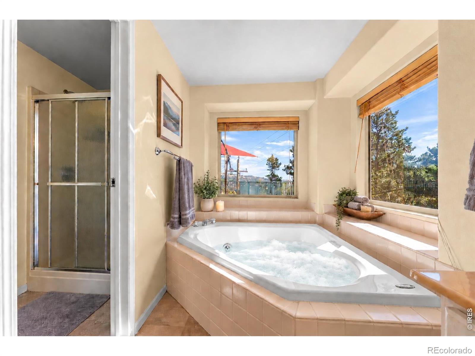 MLS Image #24 for 107  ponderosa drive,nederland, Colorado
