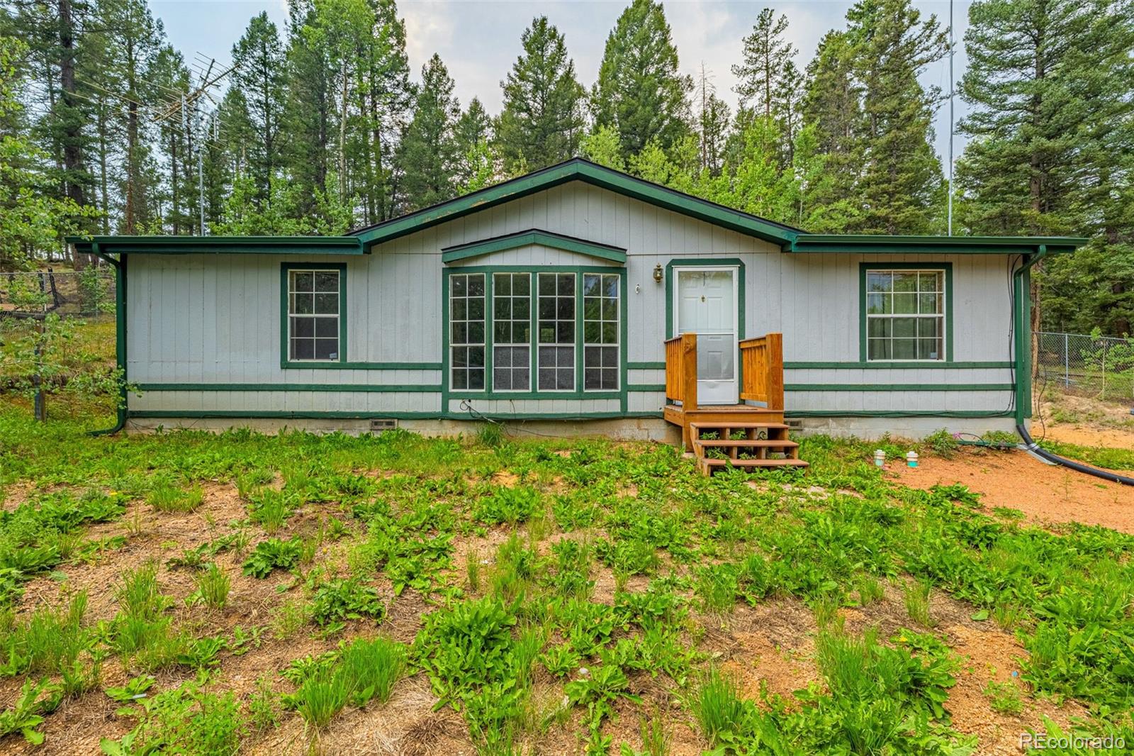 MLS Image #0 for 22  silver trail,florissant, Colorado